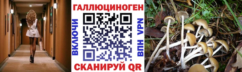 Псилоцибиновые грибы GOLDEN TEACHER  где найти наркотики  дарк нет какой сайт  Советский 
